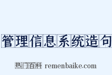 管理信息系统造句是什么意思的图片